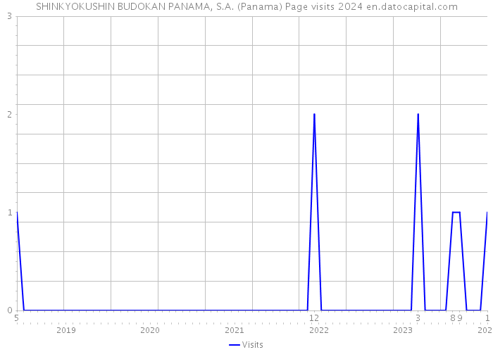 SHINKYOKUSHIN BUDOKAN PANAMA, S.A. (Panama) Page visits 2024 