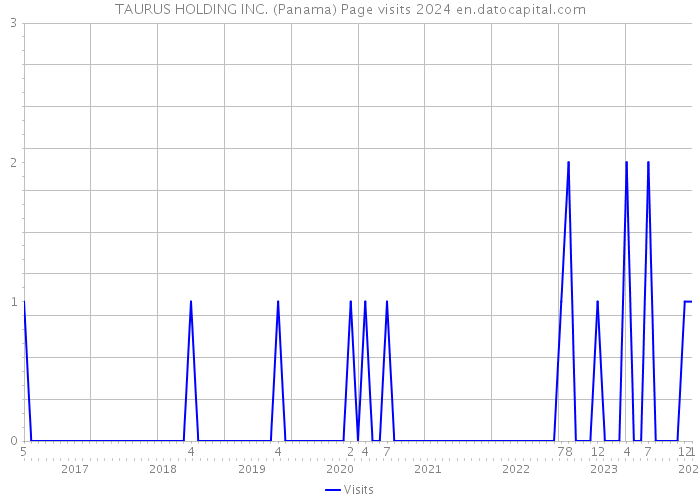 TAURUS HOLDING INC. (Panama) Page visits 2024 