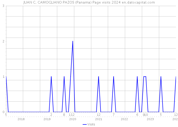 JUAN C. CAMOGLIANO PAZOS (Panama) Page visits 2024 