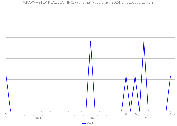 WRAPMASTER REAL LEAF INC. (Panama) Page visits 2024 
