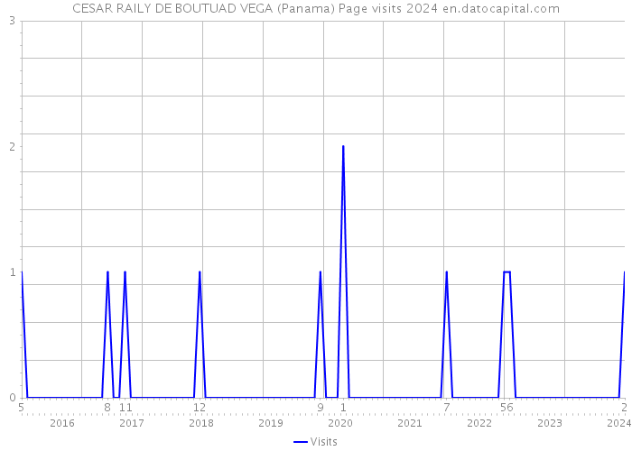 CESAR RAILY DE BOUTUAD VEGA (Panama) Page visits 2024 