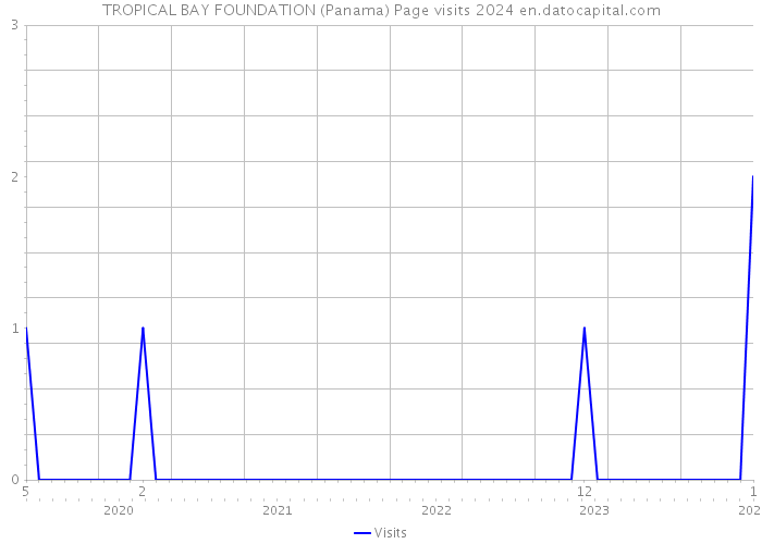 TROPICAL BAY FOUNDATION (Panama) Page visits 2024 