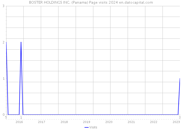 BOSTER HOLDINGS INC. (Panama) Page visits 2024 