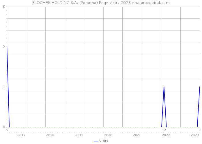 BLOCHER HOLDING S.A. (Panama) Page visits 2023 