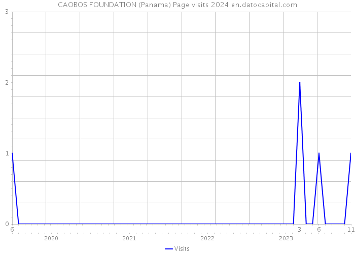 CAOBOS FOUNDATION (Panama) Page visits 2024 