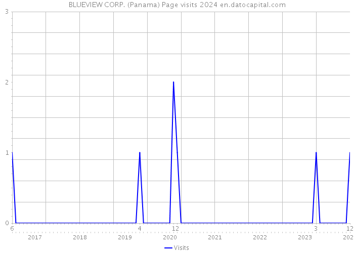 BLUEVIEW CORP. (Panama) Page visits 2024 