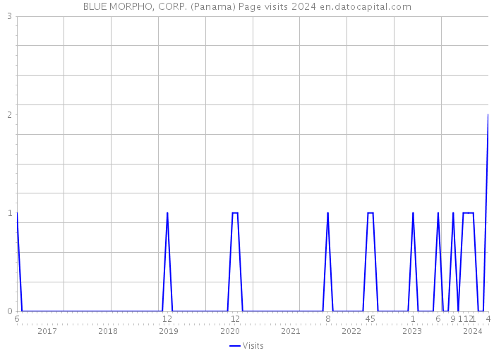BLUE MORPHO, CORP. (Panama) Page visits 2024 