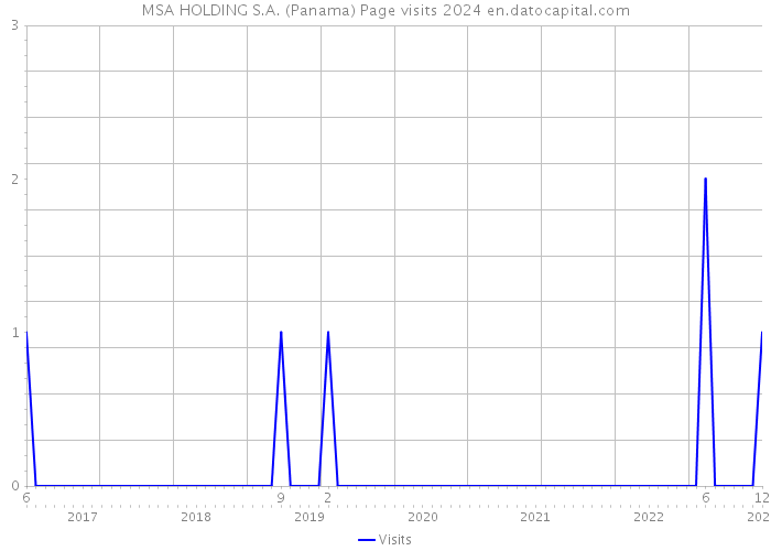 MSA HOLDING S.A. (Panama) Page visits 2024 