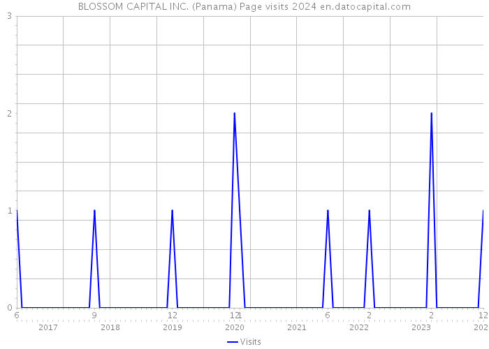 BLOSSOM CAPITAL INC. (Panama) Page visits 2024 