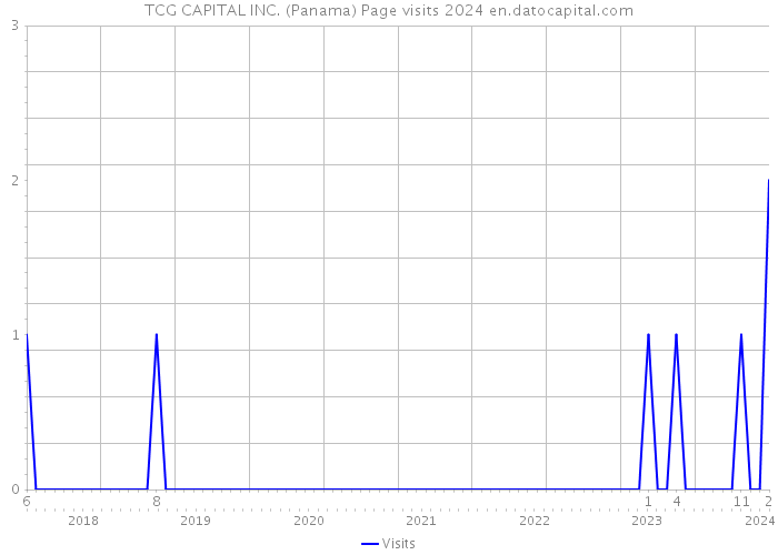 TCG CAPITAL INC. (Panama) Page visits 2024 