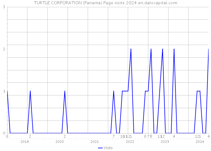 TURTLE CORPORATION (Panama) Page visits 2024 
