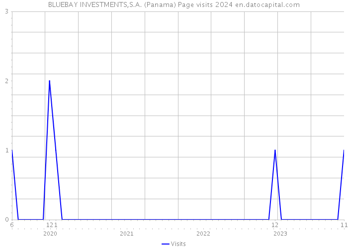 BLUEBAY INVESTMENTS,S.A. (Panama) Page visits 2024 