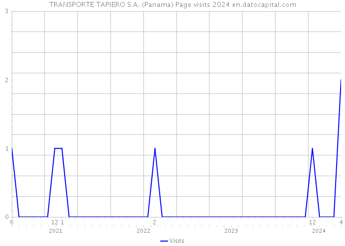 TRANSPORTE TAPIERO S.A. (Panama) Page visits 2024 
