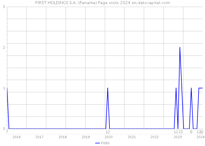 FIRST HOLDINGS S.A. (Panama) Page visits 2024 
