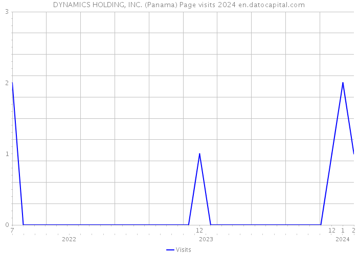 DYNAMICS HOLDING, INC. (Panama) Page visits 2024 