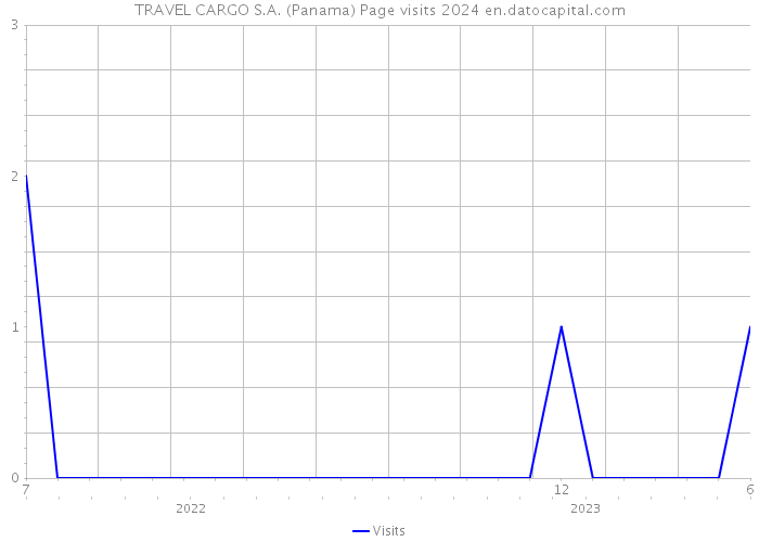TRAVEL CARGO S.A. (Panama) Page visits 2024 