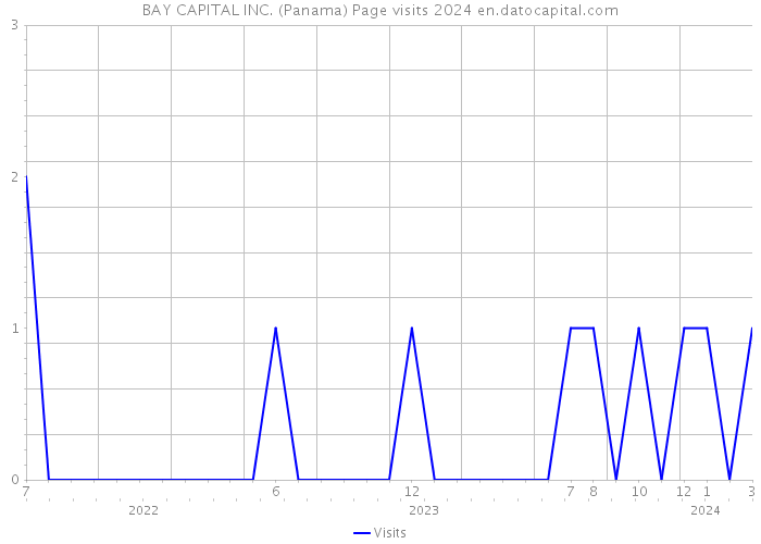 BAY CAPITAL INC. (Panama) Page visits 2024 