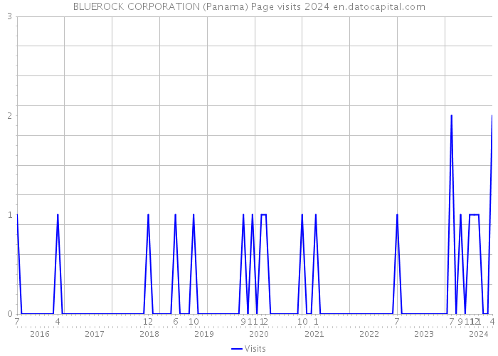 BLUEROCK CORPORATION (Panama) Page visits 2024 