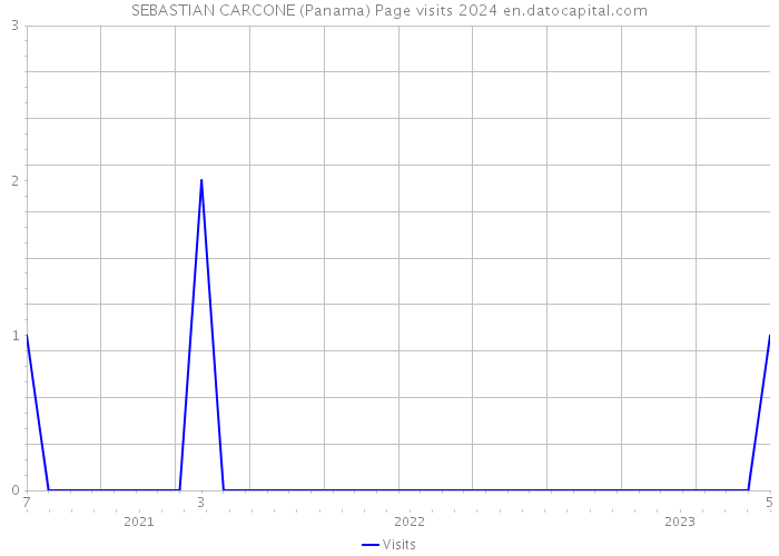 SEBASTIAN CARCONE (Panama) Page visits 2024 