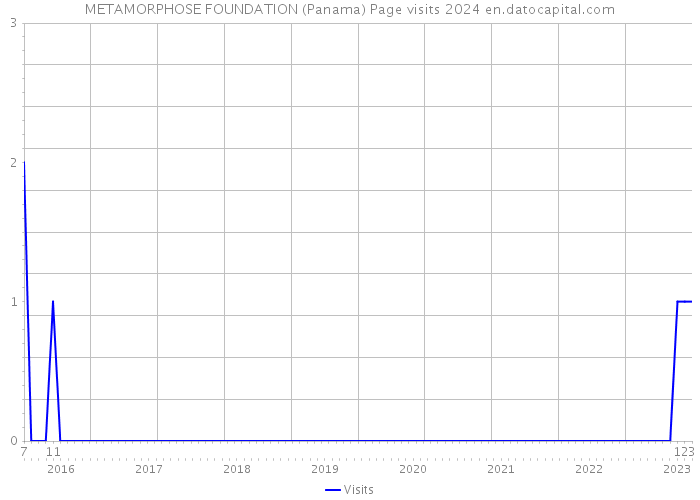 METAMORPHOSE FOUNDATION (Panama) Page visits 2024 