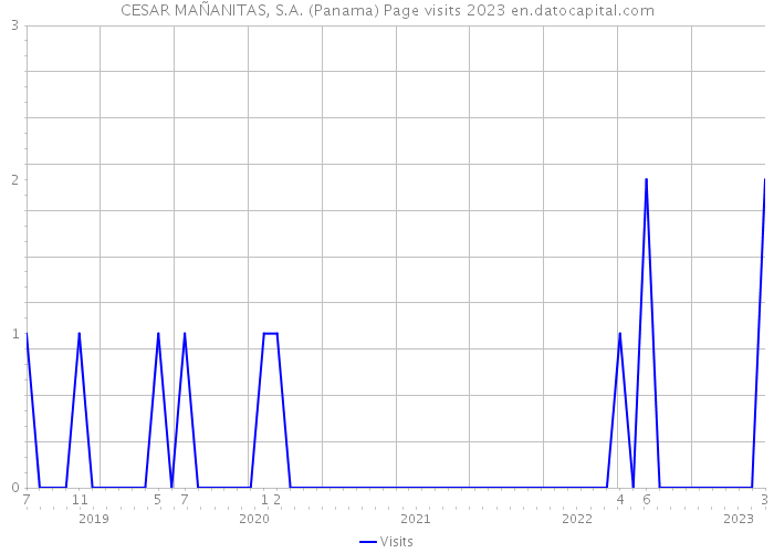 CESAR MAÑANITAS, S.A. (Panama) Page visits 2023 