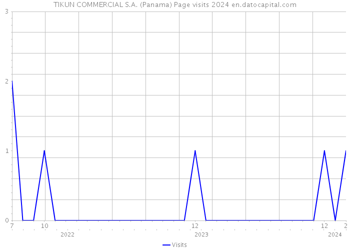 TIKUN COMMERCIAL S.A. (Panama) Page visits 2024 