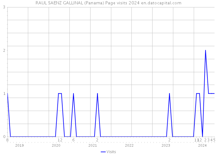 RAUL SAENZ GALLINAL (Panama) Page visits 2024 