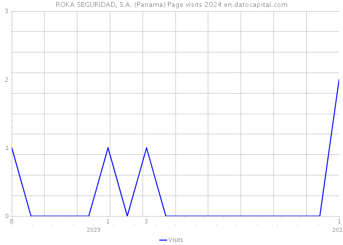 ROKA SEGURIDAD, S.A. (Panama) Page visits 2024 