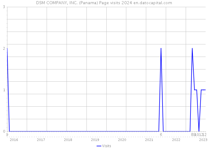 DSM COMPANY, INC. (Panama) Page visits 2024 
