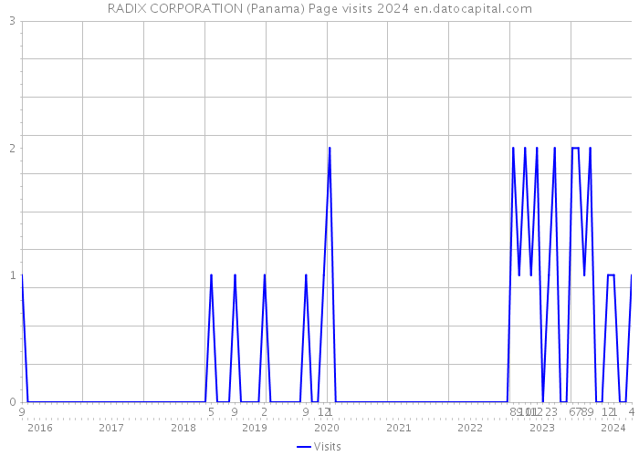 RADIX CORPORATION (Panama) Page visits 2024 
