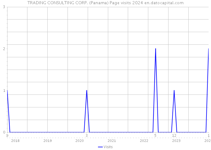 TRADING CONSULTING CORP. (Panama) Page visits 2024 