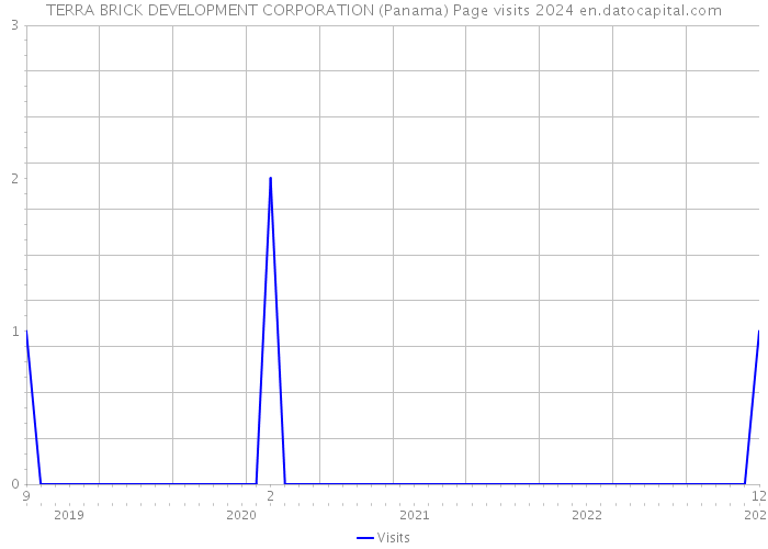 TERRA BRICK DEVELOPMENT CORPORATION (Panama) Page visits 2024 