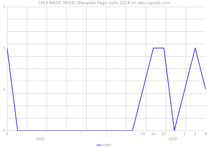 CHUI MANG WONG (Panama) Page visits 2024 