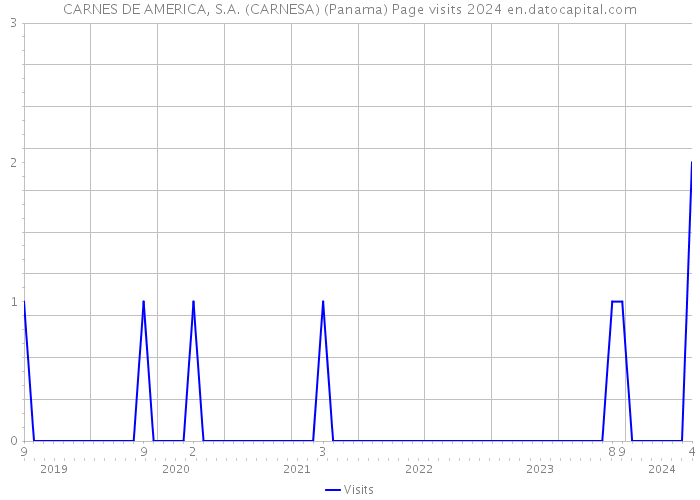 CARNES DE AMERICA, S.A. (CARNESA) (Panama) Page visits 2024 