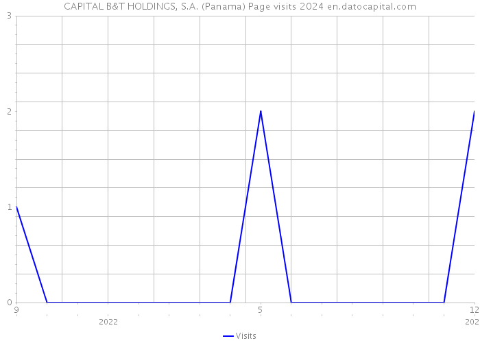 CAPITAL B&T HOLDINGS, S.A. (Panama) Page visits 2024 