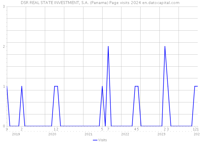 DSR REAL STATE INVESTMENT, S.A. (Panama) Page visits 2024 