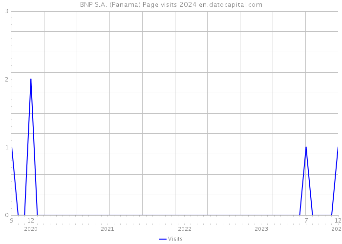 BNP S.A. (Panama) Page visits 2024 