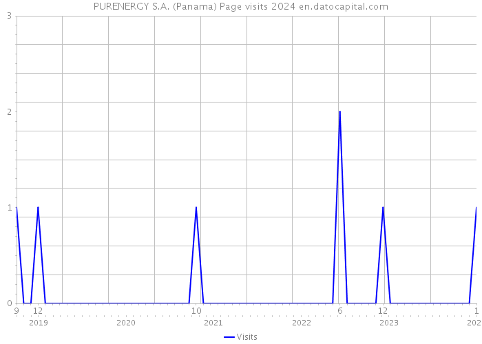 PURENERGY S.A. (Panama) Page visits 2024 