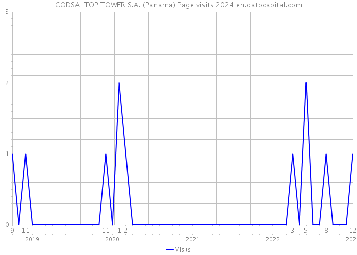 CODSA-TOP TOWER S.A. (Panama) Page visits 2024 
