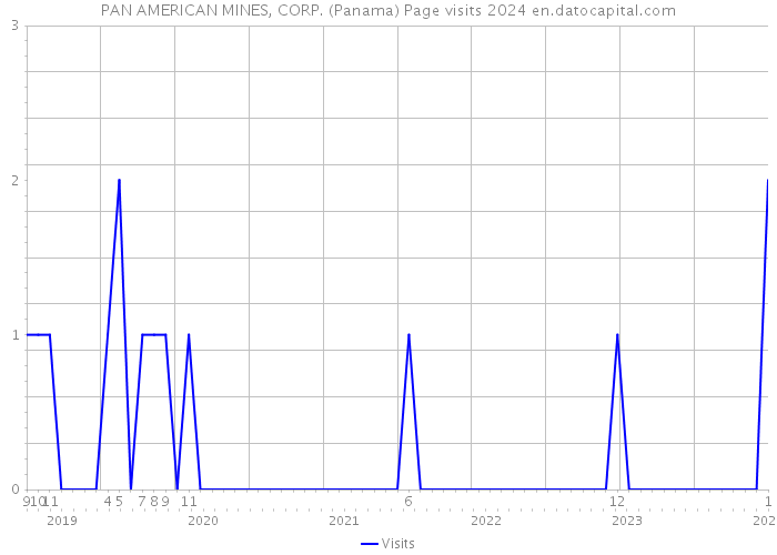 PAN AMERICAN MINES, CORP. (Panama) Page visits 2024 