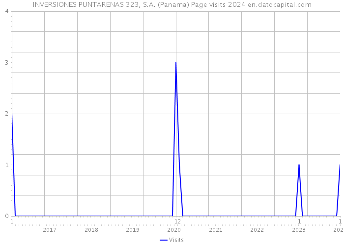 INVERSIONES PUNTARENAS 323, S.A. (Panama) Page visits 2024 