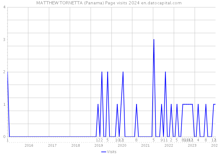 MATTHEW TORNETTA (Panama) Page visits 2024 