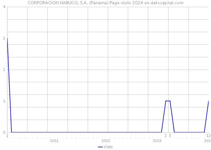 CORPORACION NABUCO, S.A. (Panama) Page visits 2024 