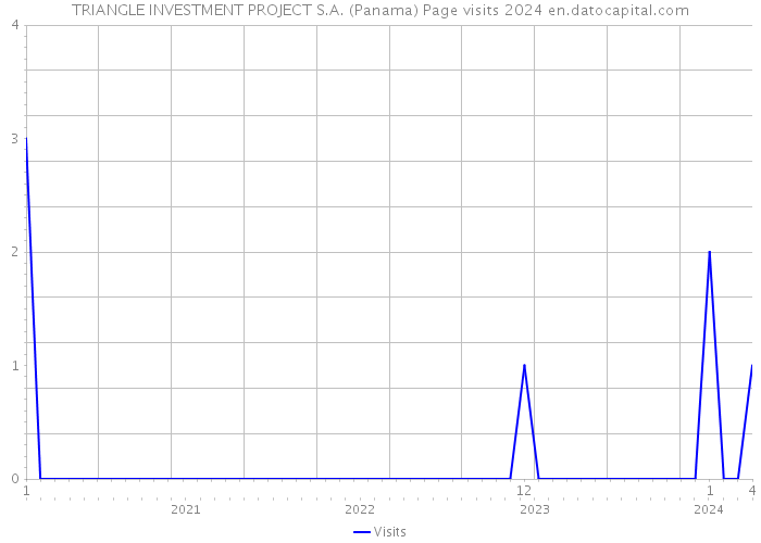 TRIANGLE INVESTMENT PROJECT S.A. (Panama) Page visits 2024 