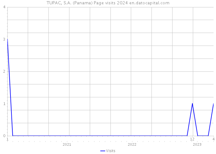 TUPAC, S.A. (Panama) Page visits 2024 