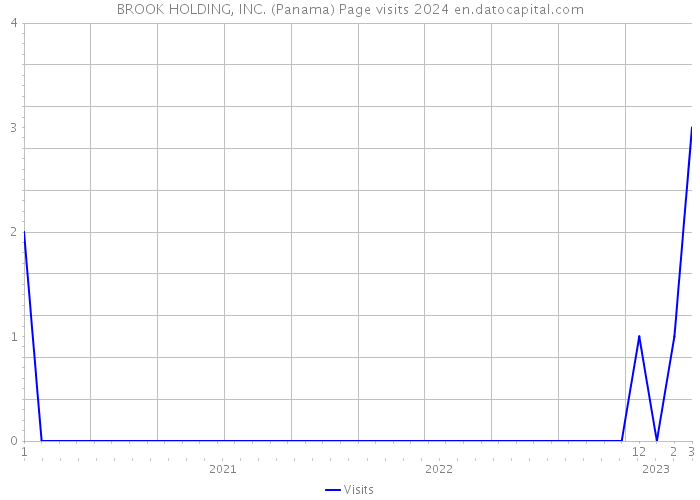 BROOK HOLDING, INC. (Panama) Page visits 2024 