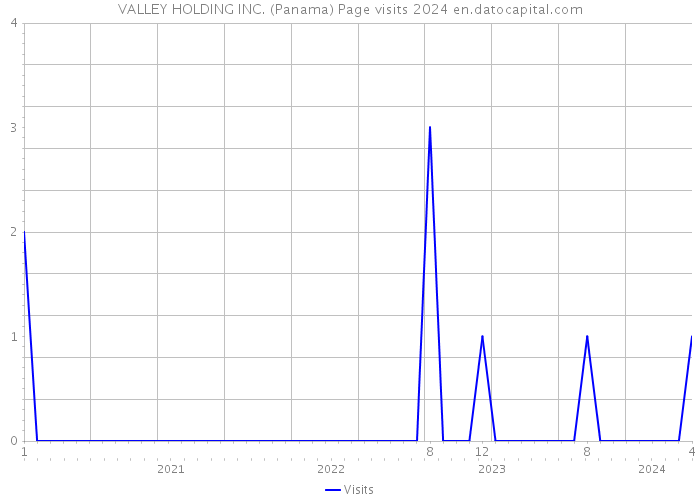 VALLEY HOLDING INC. (Panama) Page visits 2024 