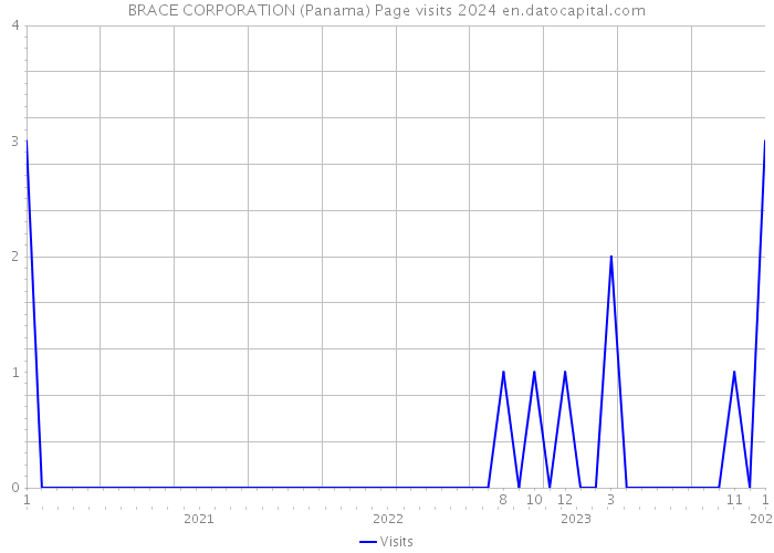 BRACE CORPORATION (Panama) Page visits 2024 