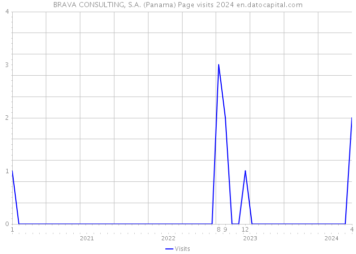 BRAVA CONSULTING, S.A. (Panama) Page visits 2024 