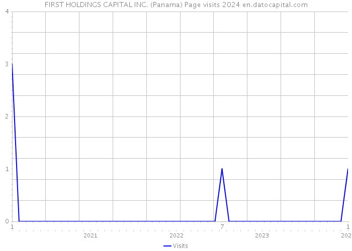 FIRST HOLDINGS CAPITAL INC. (Panama) Page visits 2024 